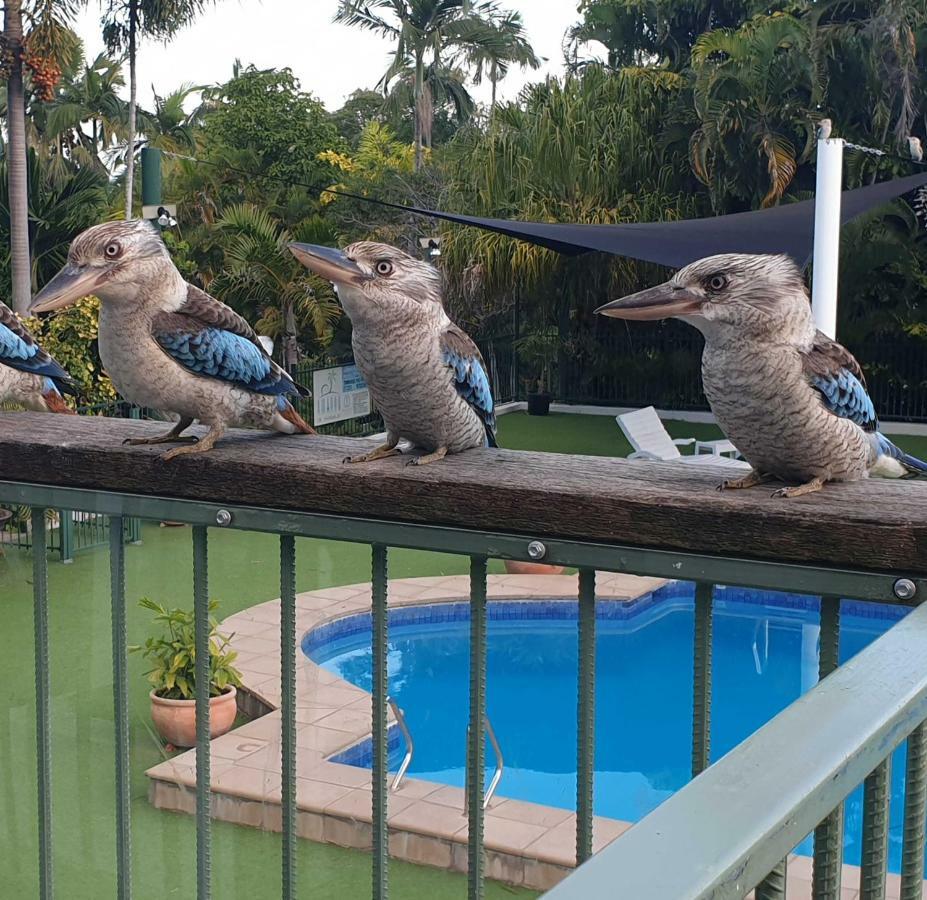 Magnetic Island Resort, Sleeps 3, Free Wifi Nelly Bay Zewnętrze zdjęcie